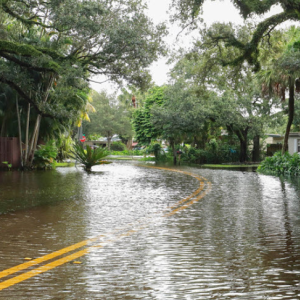 Flood Insurance