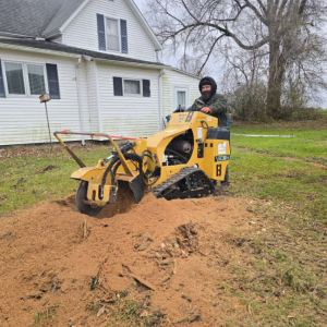 Stump Grinding