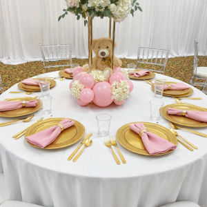 Baby Shower Package