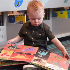 Early Literacy