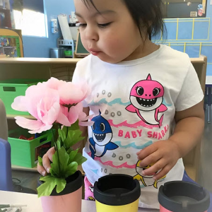 Transitional Kindergarten (5 year old)