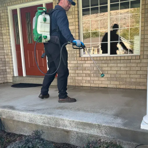 Pest Control