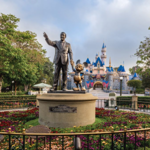 Disney Vacations