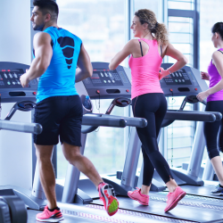 Anthony Wayne Fitness