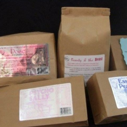 Specialty Products & Programs for Horses