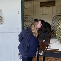 Emotional Well Being for Horses