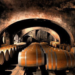 Tours and Wine Tastings