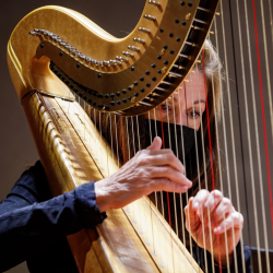 Professional Chamber Choir, Orchestra & Instrumentalists 