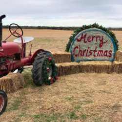 Private Event/ Family Reunion 