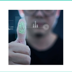 Security and Digital Protection Services