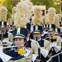 Armed Forces Torchlight Parade