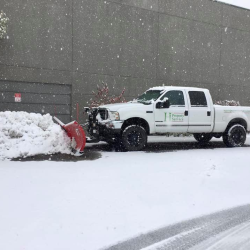 Snow Removal