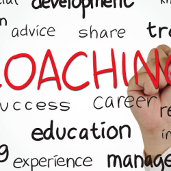 Business Consulting & Coaching