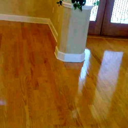 Hardwood Refinishing Services.