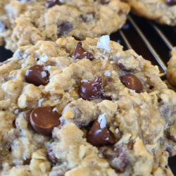 Oatmeal Chocolate Chip