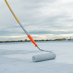 Roof Coating