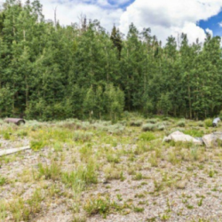 Las Vegas Investment