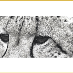 Observing the Situation Carefully