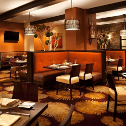 Cantina Bar and Grill