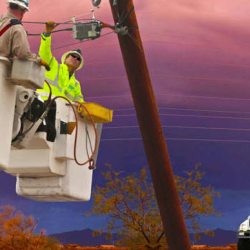 Electrical Safety Tips