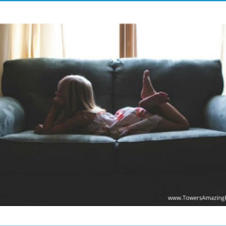  Upholstery Cleaning