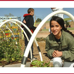 Programs & Activities