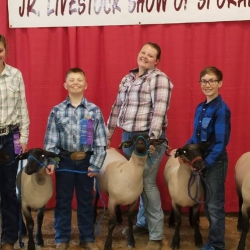 Marketing Livestock