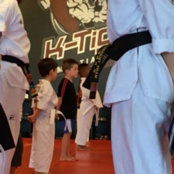 Tiny Tigers Classes (age 3 1/2 - 5)