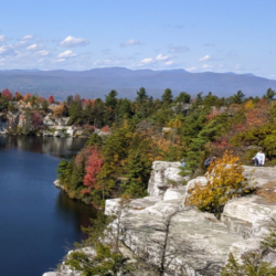 Lifestyle Management