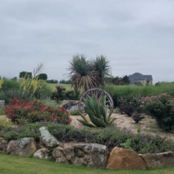 Professional Landscaping