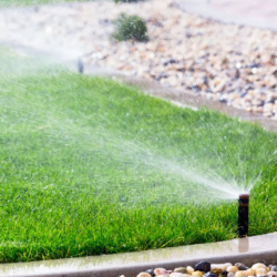 Irrigation and Sprinkler Systems