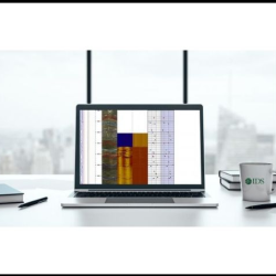 Geophysical Logging