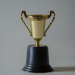 Sales Incentives, Awards, and Customer Programs