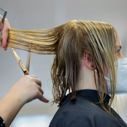 Haircut + Style