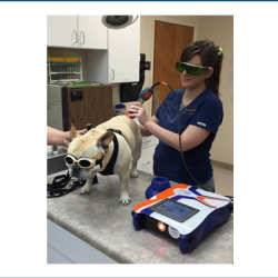 Laser Therapy