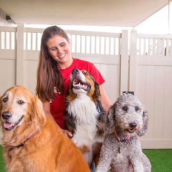 Dog Boarding