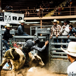 Rodeo Venue