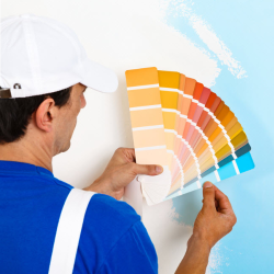 Paints, Stains & Coatings