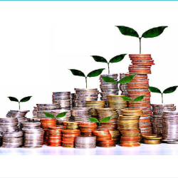 Financial Literacy