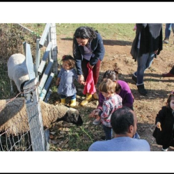 Parent-Child Program