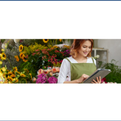 Business Online and Bill Pay