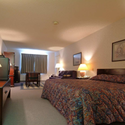 1 King Bed Deluxe Non-Smoking