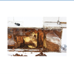 Water Damage
