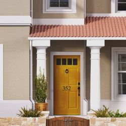 Stucco Repairs and Painting