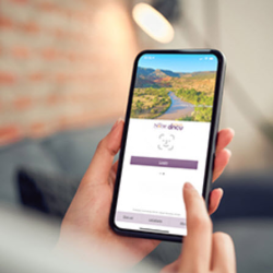 Mobile and Online Banking