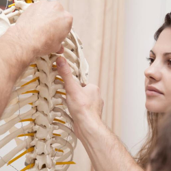Degenerative Disc Disease