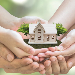 Home & Auto Insurance