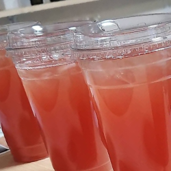 Fitness & Nutrition Bundle