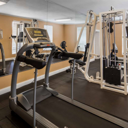 Recreation & Fitness