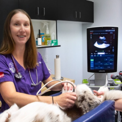 Diagnostic Capabilities